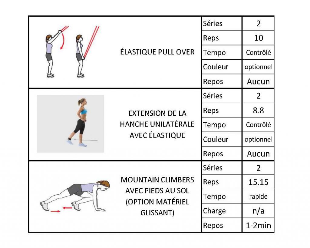 Exercices de préparation physique en vue de la saison de ski de fond
